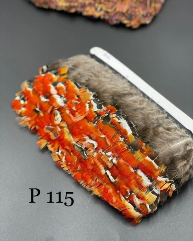 پر وحشی 115       P115 - Image 1