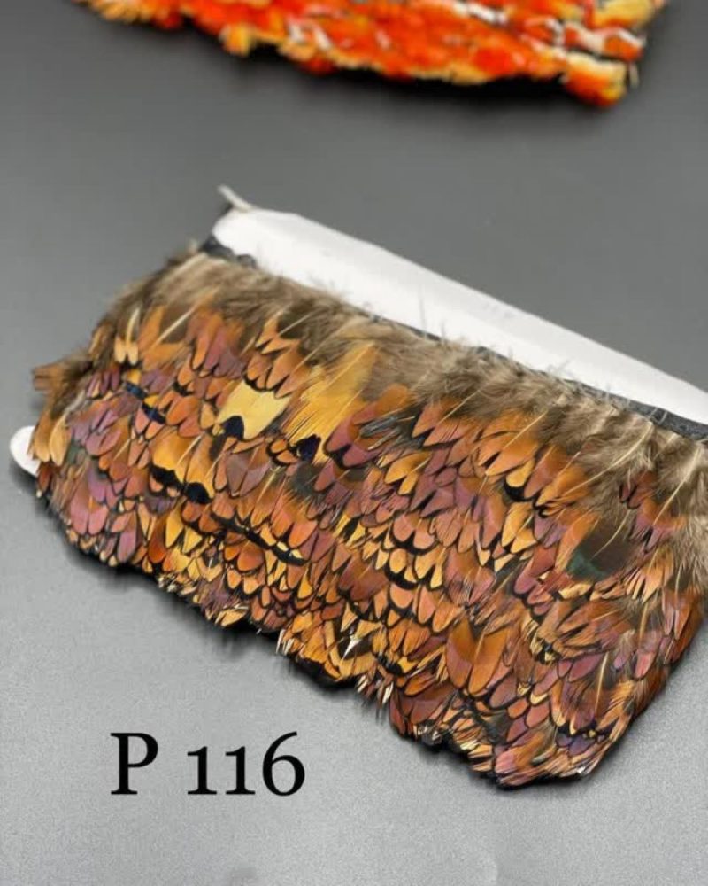 پر وحشی 116       P116 - Image 1