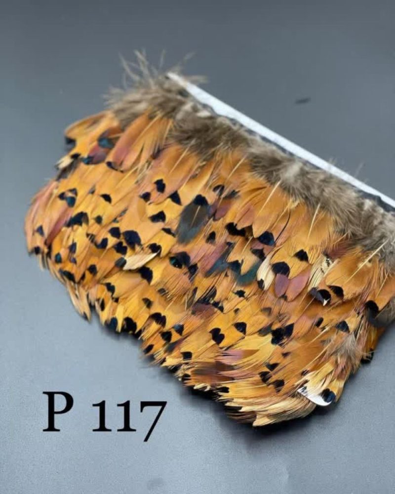 پر وحشی 117       P117 - Image 1