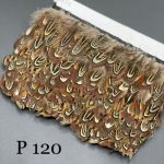 پر وحشی 120       P120