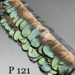 پر وحشی 121       P121