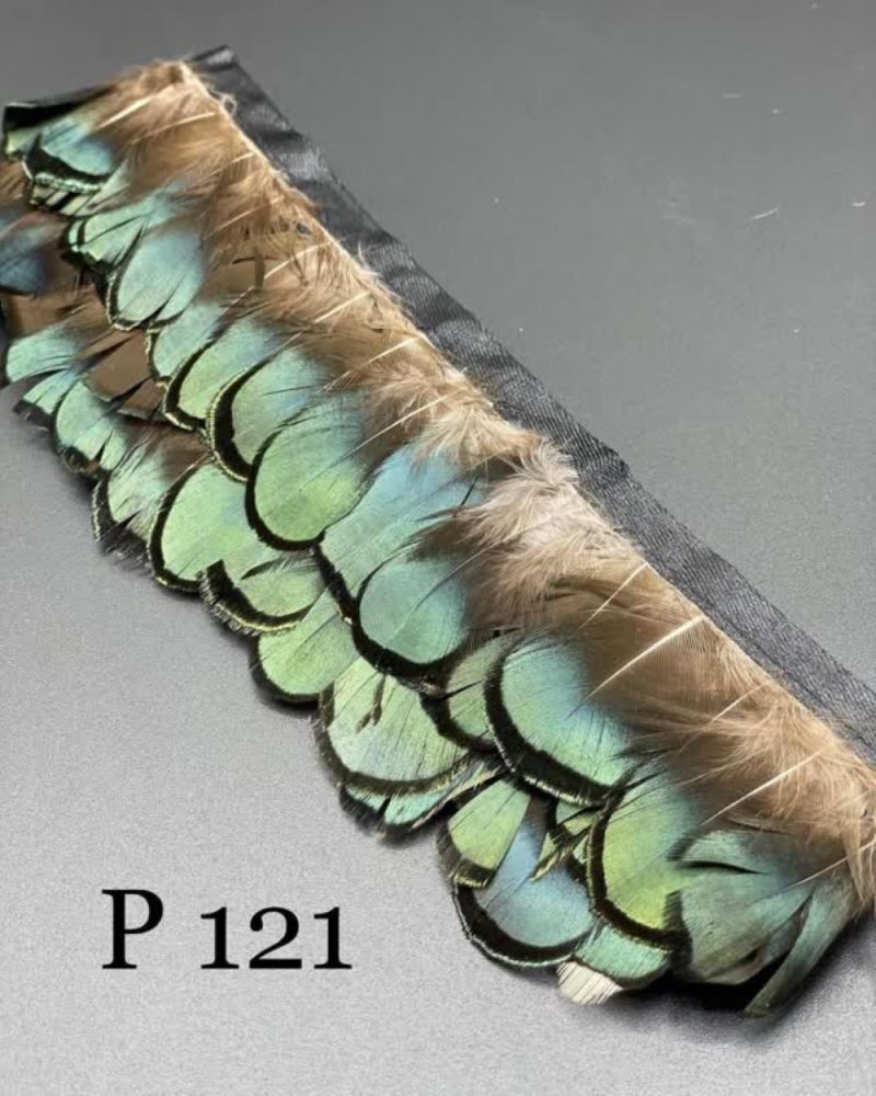 پر وحشی 121       P121 - Image 1
