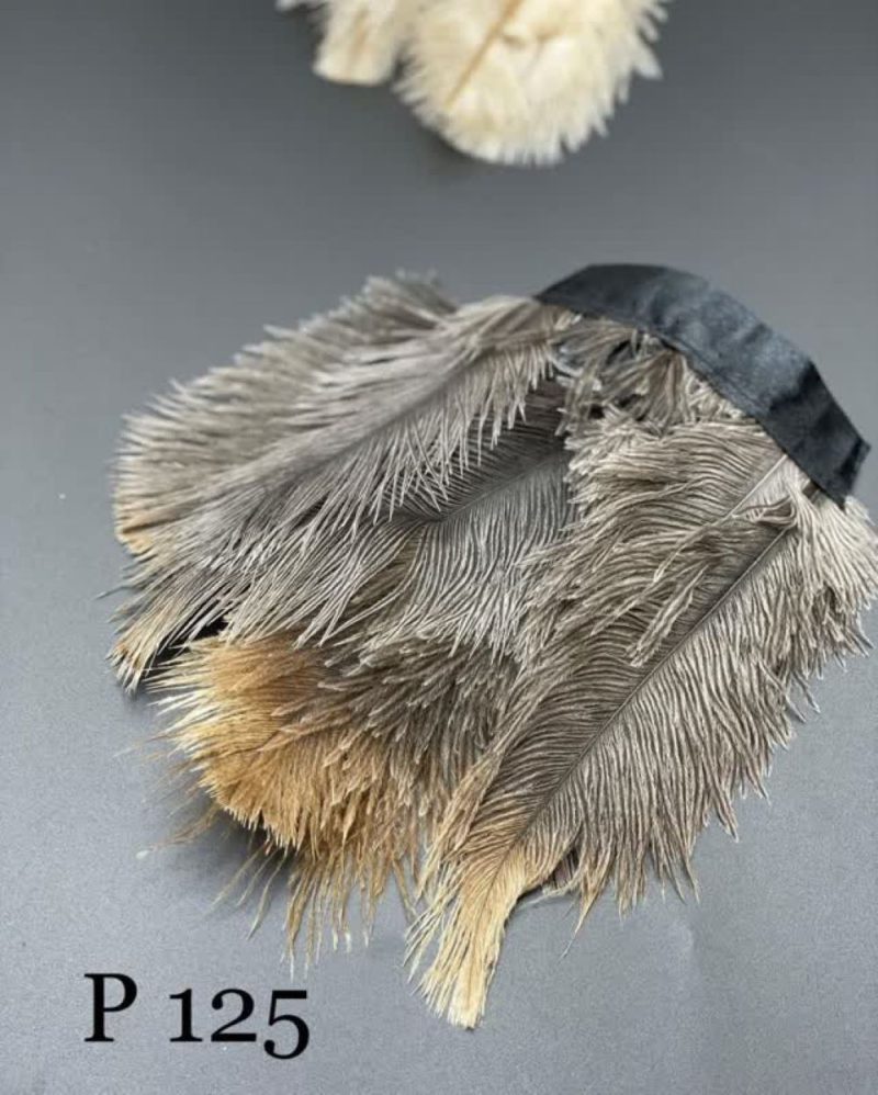 پر وحشی 125       P125 - Image 1