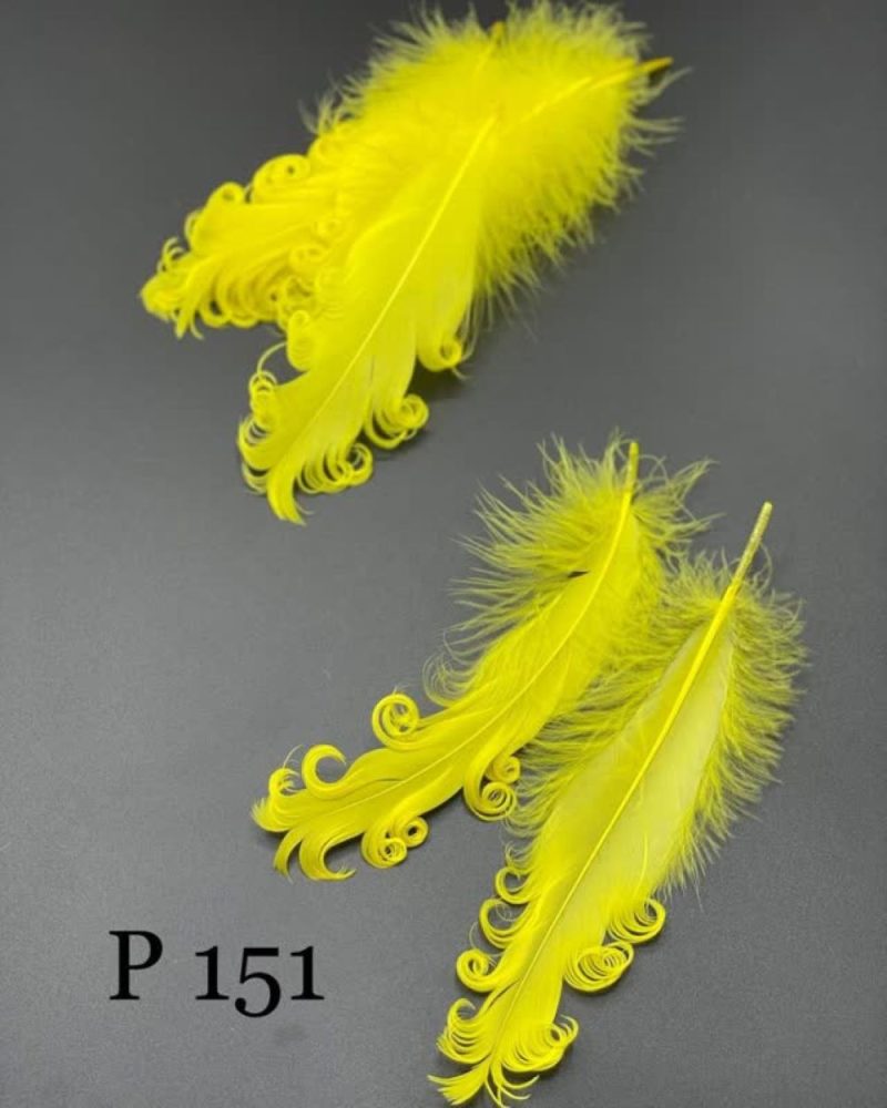 پر فر تکی زرد       P151 - Image 1
