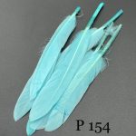 پر تکی آبی روشن       P154