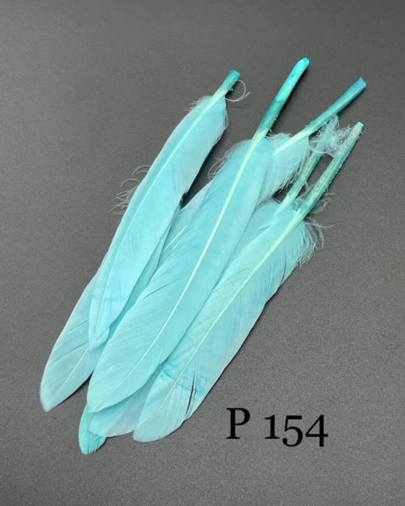 پر تکی آبی روشن       P154 - Image 1