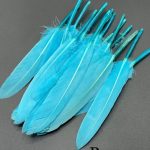 پر تکی آبی آسمانی       P155