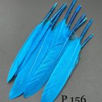 پر تکی آبی لاجوردی       P156