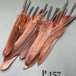 پر تکی قهوه ای       P157