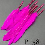 پر تکی آبی سرخابی       P158