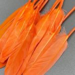 پر تکی نارنجی       P159