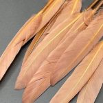 پرتکی  قهوه ای روشن       P161