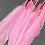 پر تکی صورتی       P162