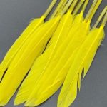 پر تکی  زرد       P163