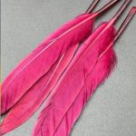 پر تکی سرخابی       P164