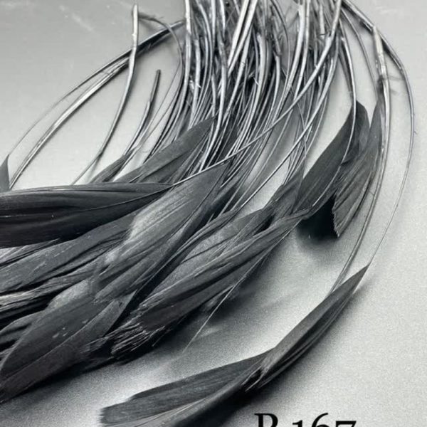 پر تکی پر کلاغی       P167