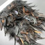 پر خروس مشکی       P200