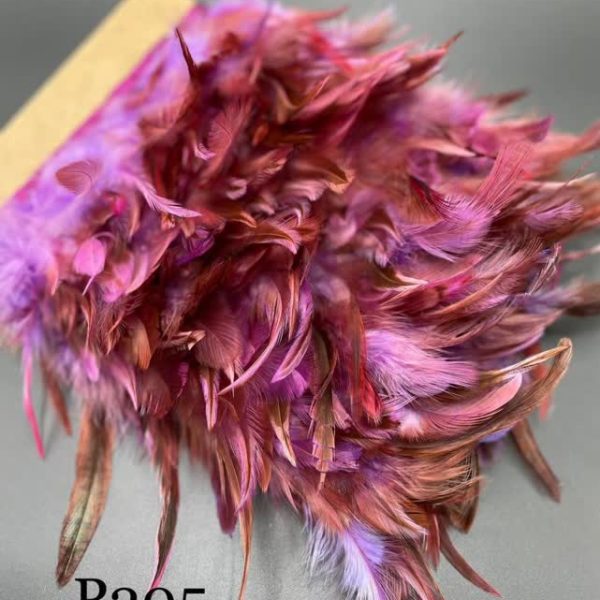 پر خروس بنفش       P205