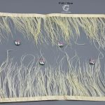 پر سوزنی - Image 11