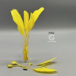 پر قاشقی - Image 4