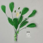 پر قاشقی - Image 16