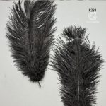 پر شترمرغ - Image 3