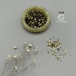 پولک 3 میلیمتر - Image 10