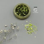 پولک 3 میلیمتر - Image 35