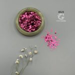 پولک 4 میلیمتر 1 - Image 13