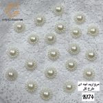 مروارید لپه ای - Image 5